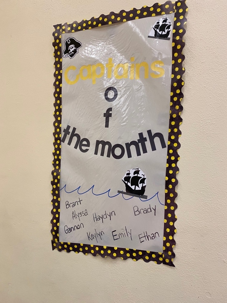 Pirate Captain of the Month