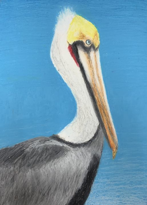 Pelican Painting 