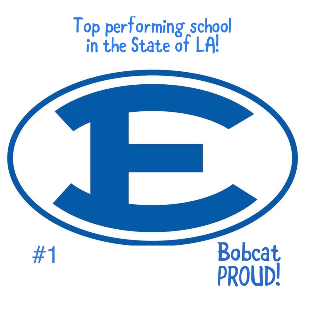 Erath High School is the #1 traditional public high school in the state!