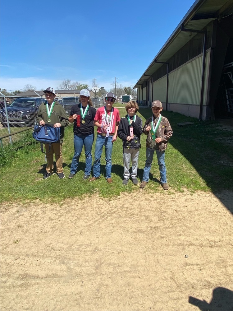 4-h competition 
