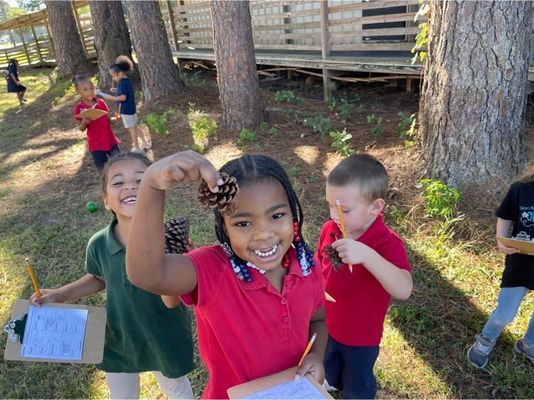 Nature Hunt with Ms. Karlee’s Pre-k class!
