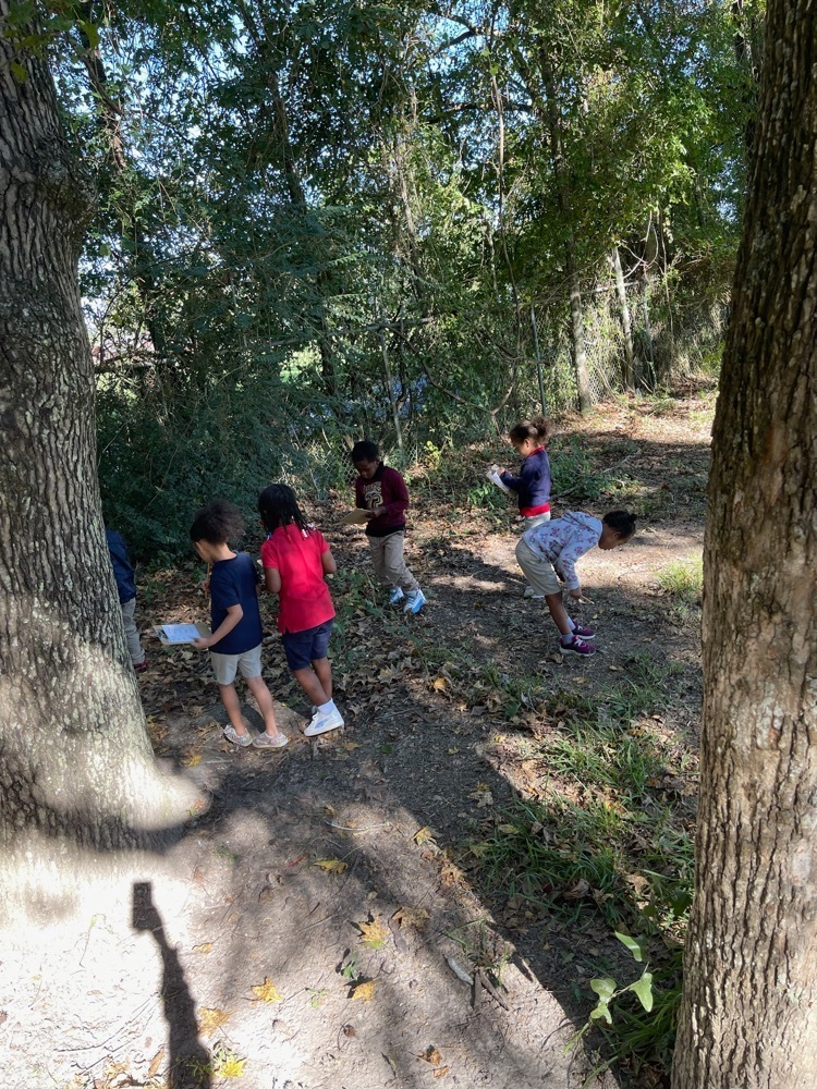 Nature Hunt with Ms. Karlee’s Pre-k class! 